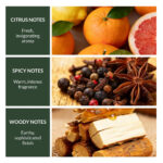 BS WS Forest Spice 200 ml A