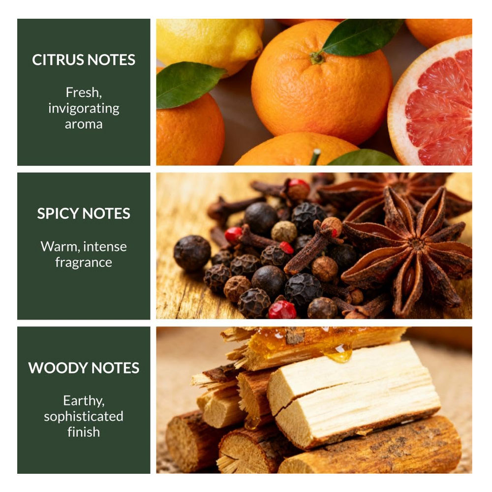 BS WS Forest Spice 200 ml B